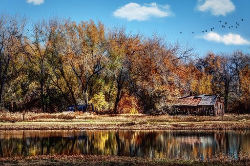 Free Boxelder Autumn photo and picture