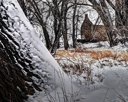 Free Robert Strauss Cabin photo and picture