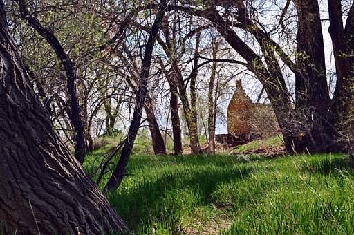 Free Robert Strauss Cabin photo and picture