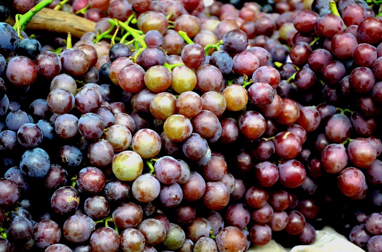 Lebensmittel Obst Traube - Kostenloses Foto auf Pixabay - Pixabay