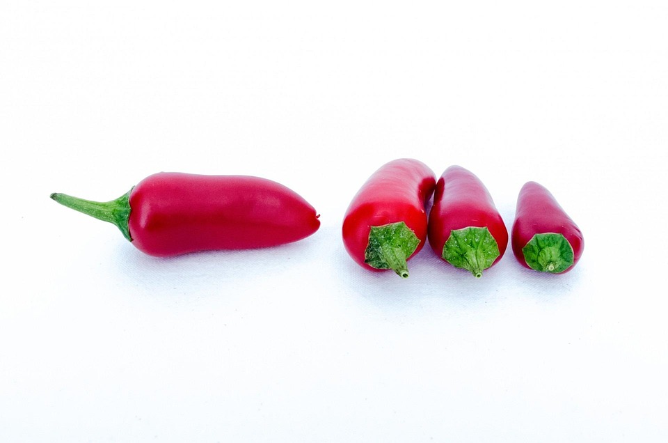 Chili Chilies Close-Up - Free photo on Pixabay - Pixabay