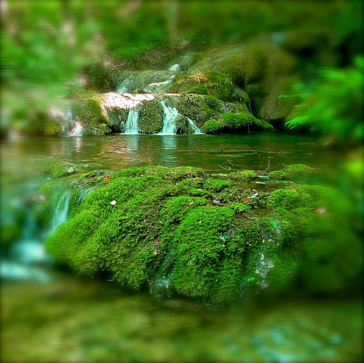 My Image 12