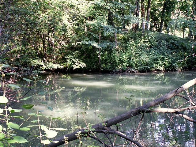 Wien, Parkere, Dam, Vand