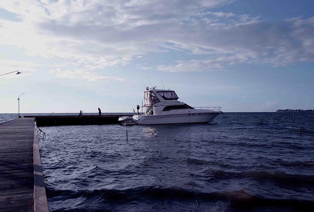 Free Ship Cruise photo and picture