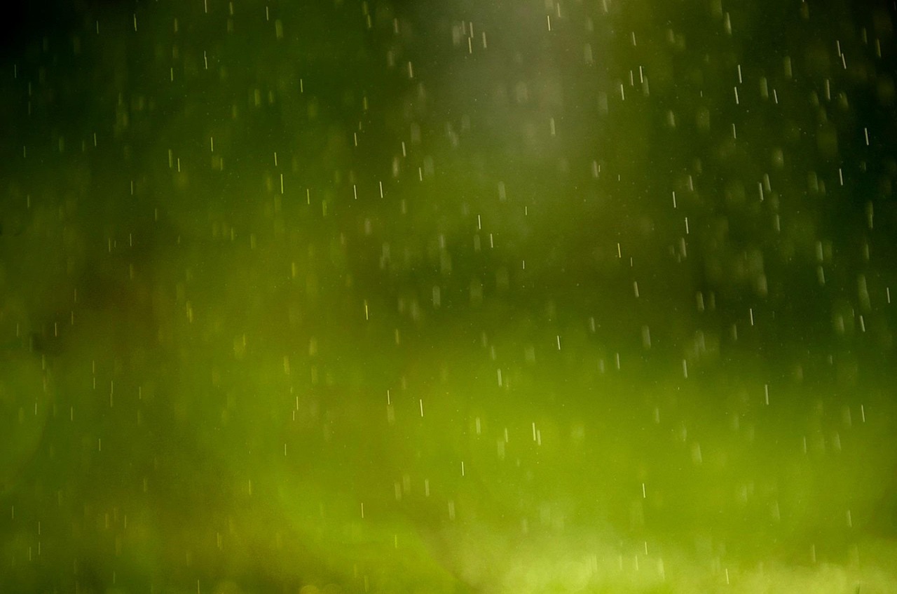 Background - free online jigsaw puzzle photo