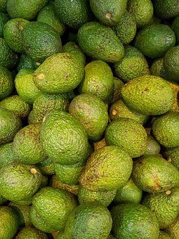 avocado-219742__340.jpg