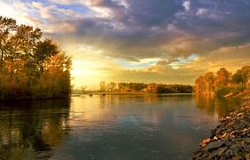 Autumn, Landscape, Nature, Golden