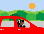dog, car, hot