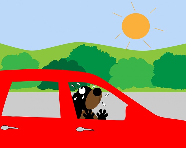 Hund, Wagen, Heiß, Betrübt, Kunst