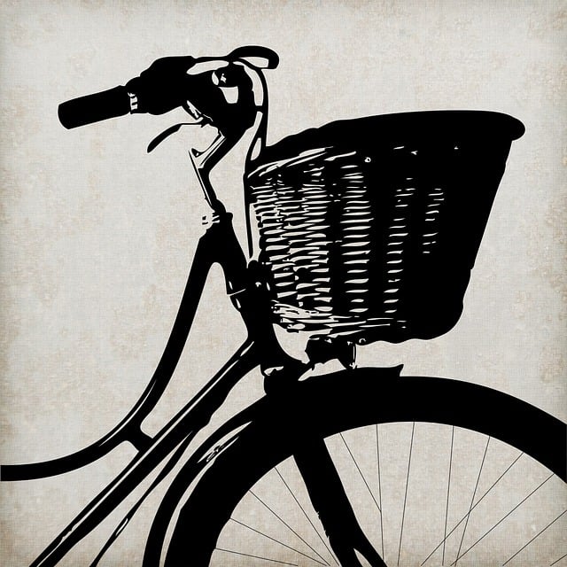 Free bike bicycle vintage illustration