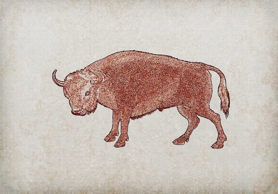 Stier Rot Stier Rot Tier - Kostenloses Bild auf Pixabay