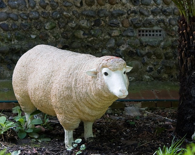 Die Schafe, Ornament, Groß, Garten, Tier