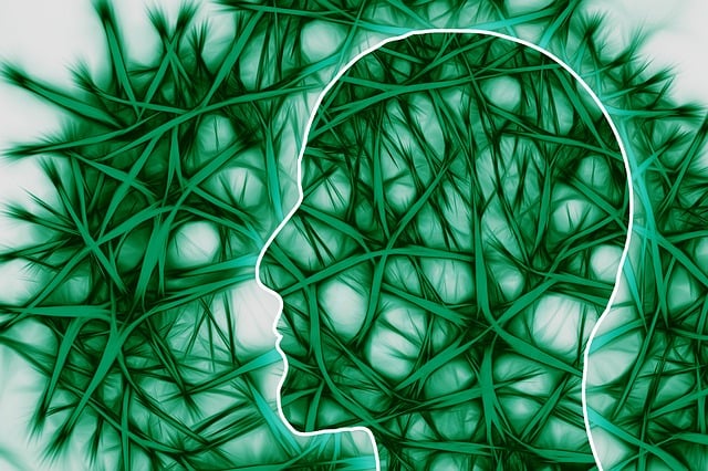 Free neural pathways artistic think illustration