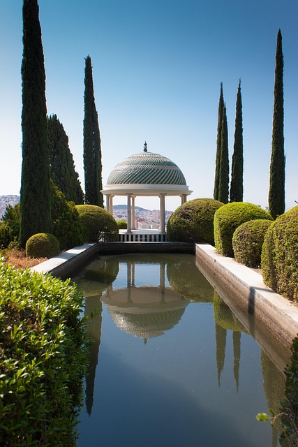 Jardim, Natureza, Agua, Verão, Céu