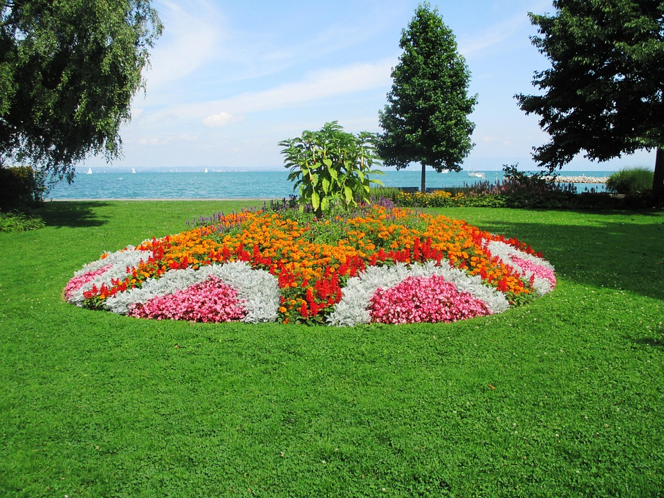 Flowers Island Ru Интернет Магазин Остров Цветов