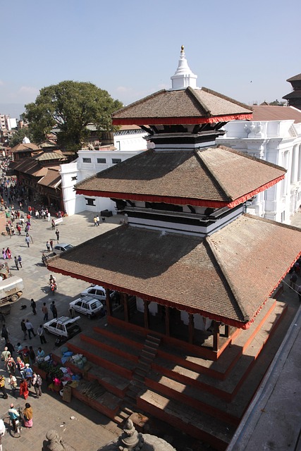 Free Nepal Kathu Dumplings photo and picture