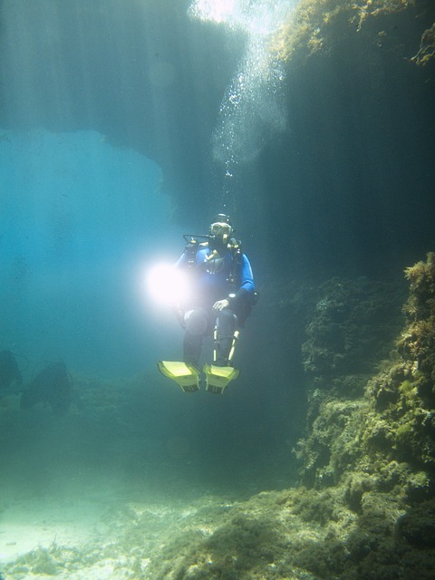 Free Diver Underwater photo and picture