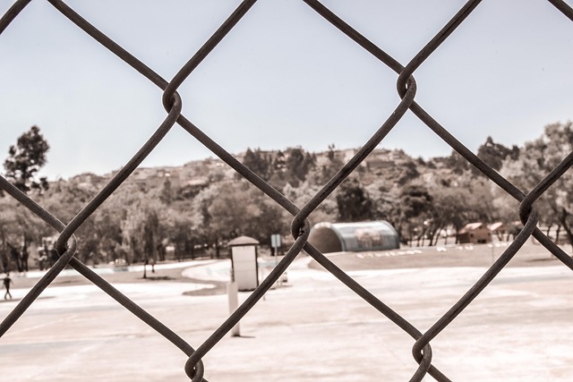 Free Fence Field photo and picture
