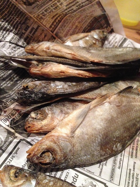 Free Fish Newspaper photo and picture