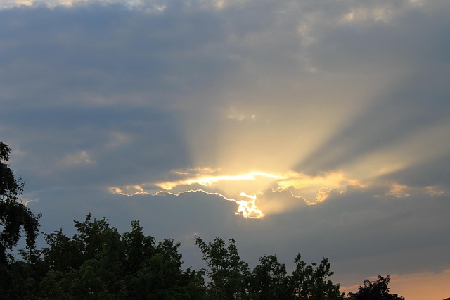 Free Sunrays Sunbeams photo and picture