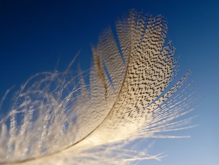 Primavera, Fácil, Liviano Como Una Pluma