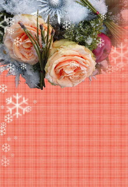 Free merry christmas greeting card nature illustration