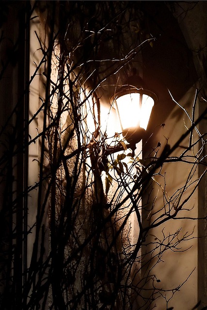 Free Lamp Atmosphere photo and picture