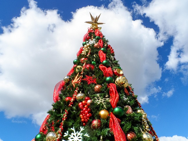 Free Christmas Tree Christmas photo and picture