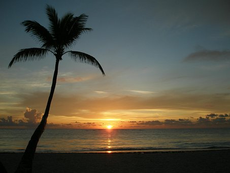 Occidental Punta Cana 5*, Доминиканская республика, Пунта..
