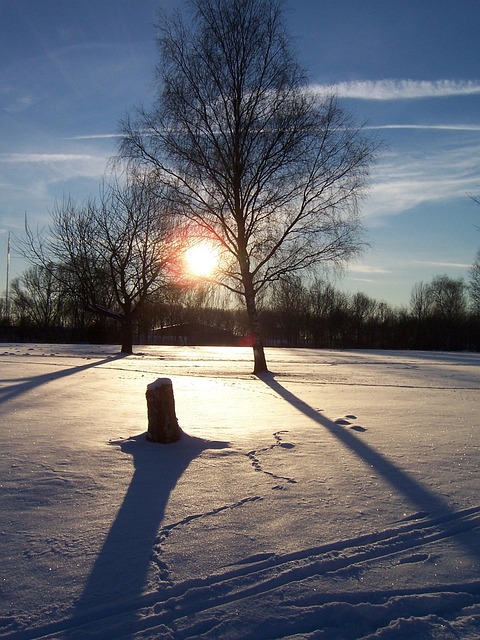 Winter, Sneeuw, Voetafdrukken, Wit, Koud