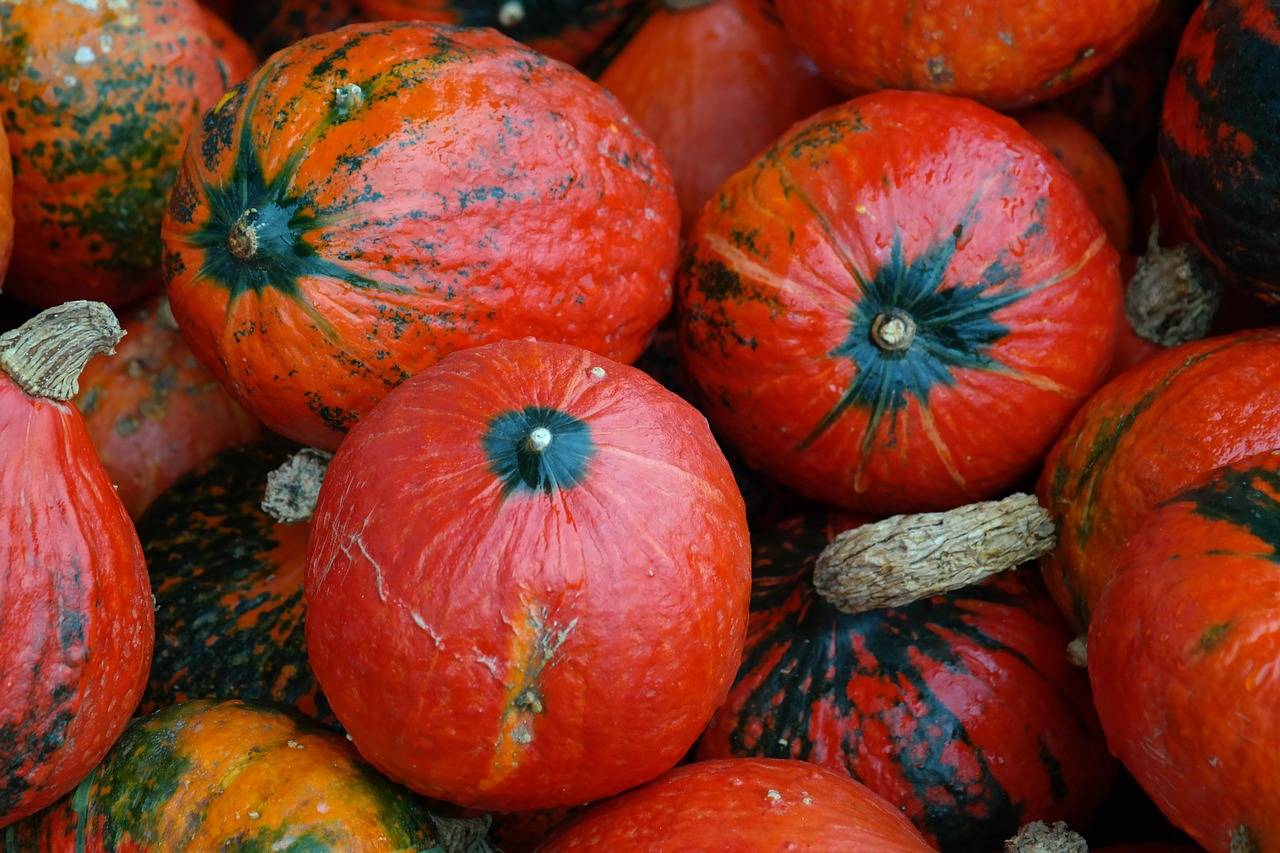 Hokkaido Pumpkin Free Photo On Pixabay