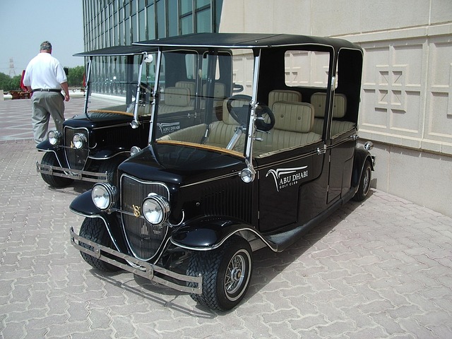 Golf, Carro, Carritos, Calesa