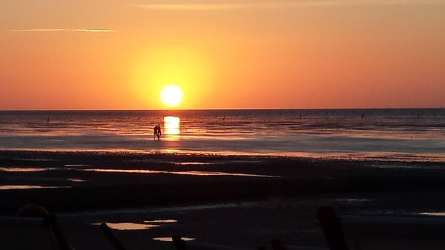 Free Sea Sun photo and picture