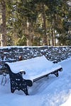 bench, winter, season