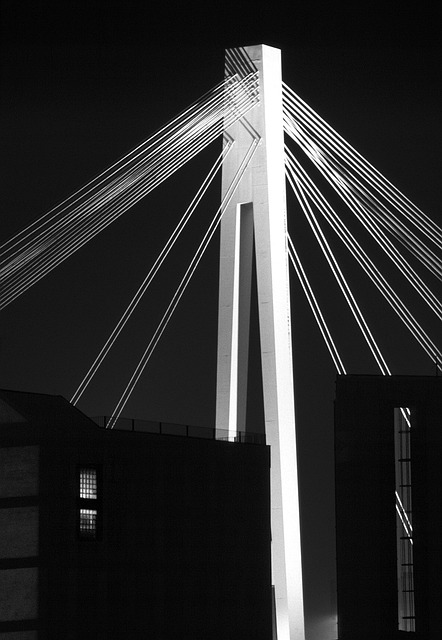 Free Bridge Night photo and picture