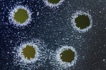 hoarfrost, circle, holes