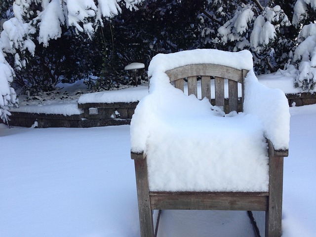 Free Snow Backyard photo and picture