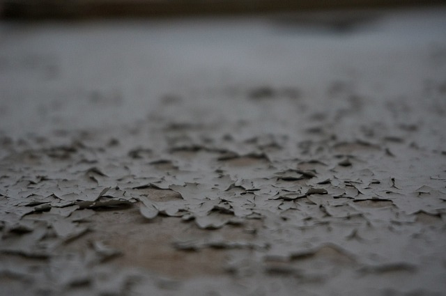 Free Plaster Facade photo and picture