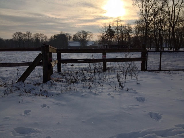 Winter, Sneeuw, Zon
