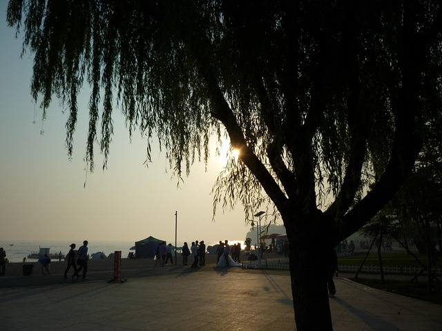 Porcelana, Dalian