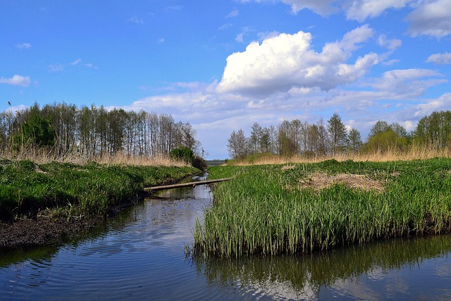 Free Landscapes Poland photo and picture