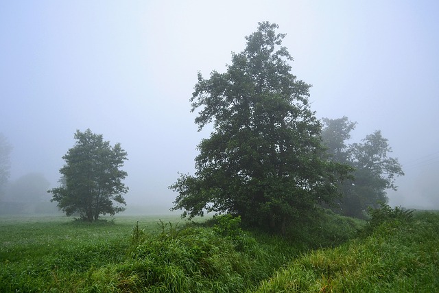 Free Landscape View photo and picture