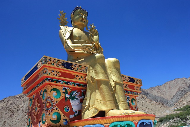 Free Nubra Tibet photo and picture