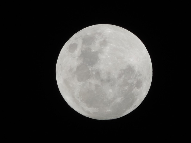 Free Moon Nocturne photo and picture