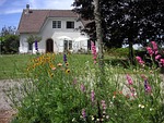 cottage, house, rural