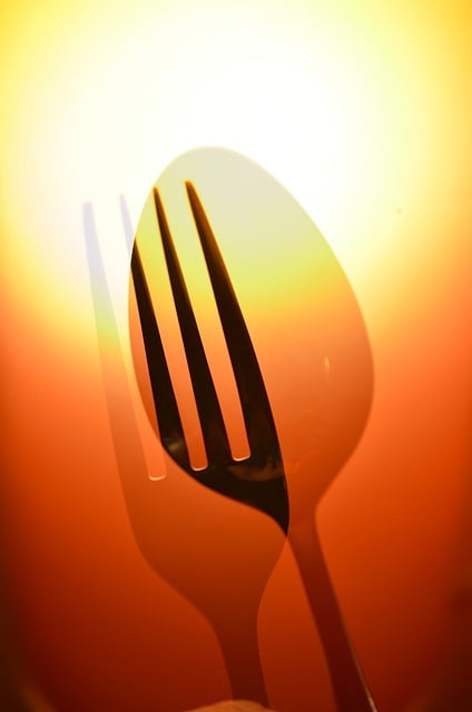 Free spoon fork meal illustration