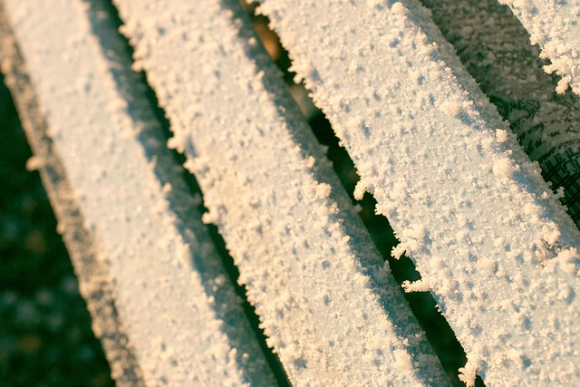 Free Ice Crystals Winter photo and picture