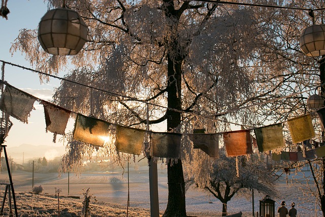 Free Winter Frozen photo and picture