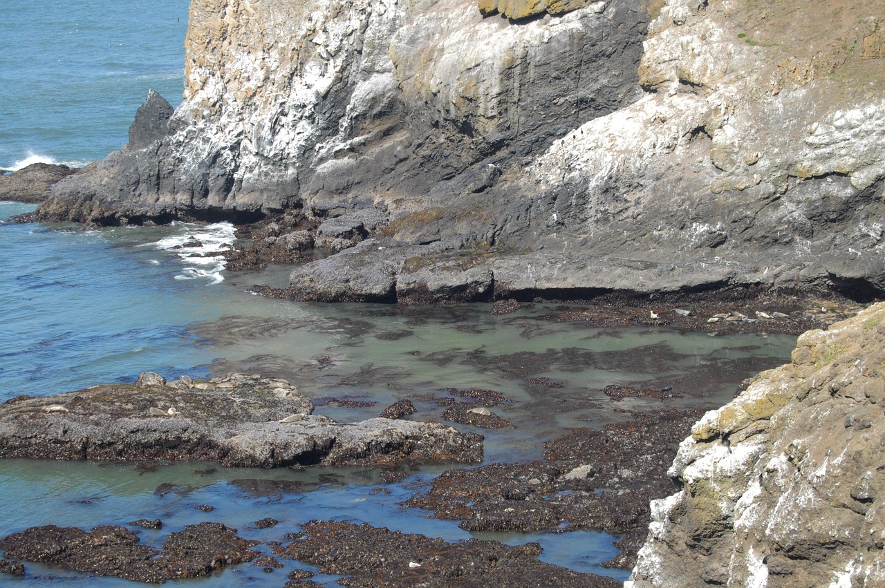 Coast Cliff Rocks - Free photo on Pixabay - Pixabay