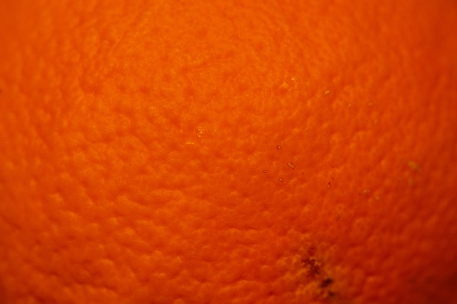 Spring Silhouettes And Shadows >> Free photo: Orange, Orange Peel, Fruit, Surface - Free Image on Pixabay - 233761 Spring Silhouettes And Shadows >> Free photo: Orange, Orange Peel, Fruit, Surface - Free Image on Pixabay - 233761